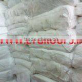 Single Jersey Knitted Fabric