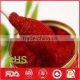 2016 New Canned Tomato Paste thumbnail-1