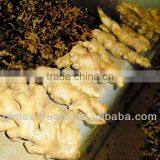 Good Quality Fresh Ginger thumbnail-1