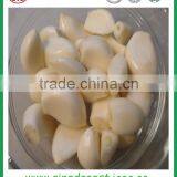 Fresh White Garlic From Chinese Garlic Hometown Jinxiang thumbnail-5