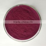Hot-sale Anti-oxidant Brazilian Acai berry Powder Extract 4:1,10:1 and 20:1with Anthocynidins 1--10% and Polyphenols 1--10%