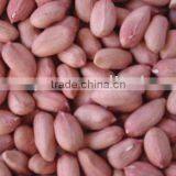 Peanuts in Shell thumbnail-1