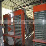 Automatic egg collecting machine