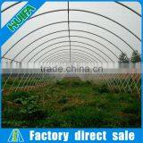 Customized Commercial Walk in Plastic Film High Tunnel Greeenhouse thumbnail-5
