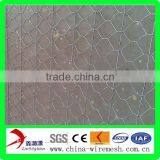 Galvanized Hexagonal netting/Hexagonal mesh/zine coat