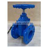 Iron Casting Gate Valve F4-DIN thumbnail-6