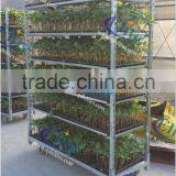 123 Seedling Retail Containers, Seedling European Flower Trolley, Seedling Pot Plant Trolley thumbnail-2