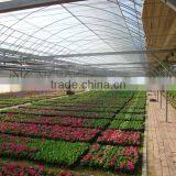 Single Span Greenhouse Film Used in Planting Flowers, Vegetables, Fruits thumbnail-1