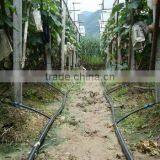 Hdpe Farm Irrigation System Drip Pipe thumbnail-5