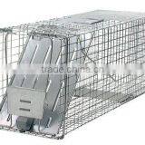 32-Inch Live Animal Cage Trap thumbnail-1