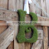 Moss Wedding Letters With Ribbion for Hanging thumbnail-1