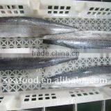 IQF Spanish Mackerel Fillets A,B Grade thumbnail-1