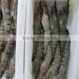 Seafood Cost of Shrimp thumbnail-1