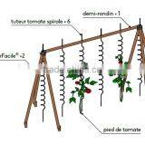 Powder Coated Tomato Spiral Wire thumbnail-2