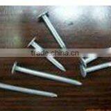 Plain Shank Zinc Nails thumbnail-3