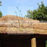 Thatch Roof Materials Water Reed thumbnail-6