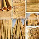 Wholesale Bamboo Poles /bamboo Canes thumbnail-2