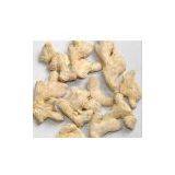 Dried Ginger thumbnail-1