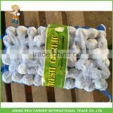 New Crop Cold Storage Pure White Garlic Price thumbnail-1