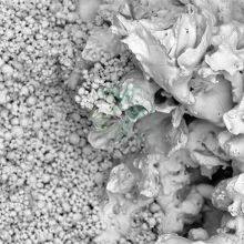 Membrane Filtration (Coated Filter Element) Membrane Filter Element Porous Metal Filters Supplier thumbnail-3