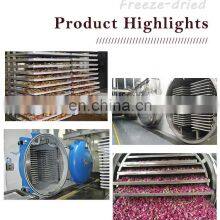 Lyophilizer 200 Square Freeze Drying Machine Sublimation Condensation Dryer Vacuum Lyophilizer Price thumbnail-5