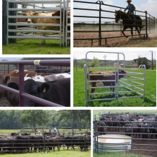 2025 New Model Galvanized Steel High Quality Farm Animal Used Livestock Fence Cattle Horse Sheep Panels Corral Gate thumbnail-3
