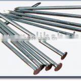 common wire nail