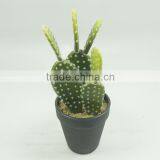 Decorative artificial cactus plants with plastic pot