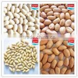 bulk raw peanut kernels