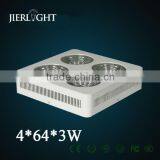 800w Cob Led Grow Light Full Spectrum thumbnail-1