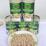 Canned Kidney Beans Canned White Beans in Brine thumbnail-3