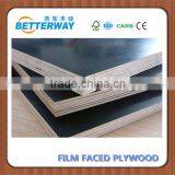 Poplar in Dubai Construction Used Brown Film Face Plywood thumbnail-6