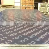 1250mmx2500mmm or 1220mmx2440mm Construction Film Faced Plywood thumbnail-2
