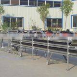 Polished Glutinous Rice Strip Processing Line Food Production Line Snack Production Line thumbnail-2