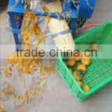 2015 Most competitive Persimmon peeling machine