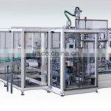 Salt Bags Case Packer, Case Packaging Machine