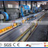 Orange Production Line