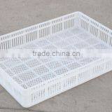 Transport Cage for Chicken/ 100$ Pure Plastic Poultry Transport Cage/Agricultural Plastic Crates for Chicken Transportation thumbnail-2