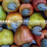 Cashew Nuts... thumbnail-6