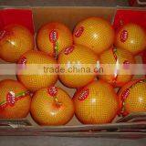 Fresh Sweet Pomelo From China