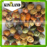 Coated Peanut Processing thumbnail-5