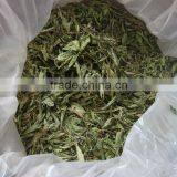 Dried Stevia Leaves thumbnail-1