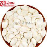 Organic Snow White Pumpkin Seeds in Shell