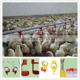 Poultry Pan Feeders and Drinkers thumbnail-2