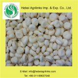 Frozen IQF Water Chestnut Kernel thumbnail-1
