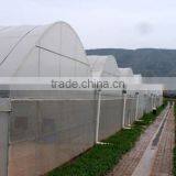 Multi-span pe Film Green House Tomato Green House Pepper Greenhouse thumbnail-4