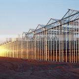 Modern Apperance Hot Dip Galvanized Steel Structure Glass Covering Greenhouse thumbnail-4