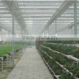 China Factory Greenhouses Structure With Hydroponic System thumbnail-1