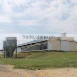 Poultry Feeding System Automatic Chicken House thumbnail-3