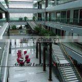 Outdoor Tropical Decorative Palm Trees/hugh Indoor Decorative Palm Tree thumbnail-2